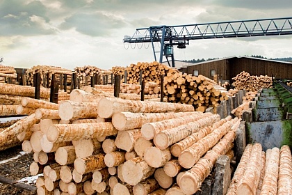 Объем инвестиций в лесную отрасль в 2017 году в Коми составил 30 млрд рублей