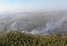 В Минприроды назвали сумму ущерба от лесных пожаров с начала года