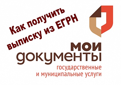 Выписка из ЕГРН без пошлины
