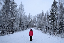 В Ухте с начала года поисковики "Ухтаспас" отработали девять заявок по пропавшим