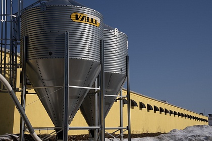 На Зеленецкой птицефабрике заселили современный птичник на шестьдесят тысяч кур