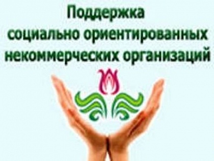 Социально ориентированные НКО могут претендовать на получение субсидии из бюджета РК