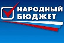 В Ухте в этом году будут реализованы 14 народных проектов