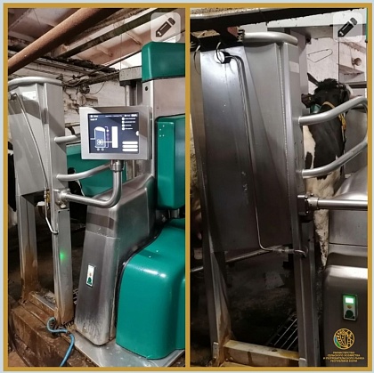 Ухтинское сельхозпредприятие «Изваильский-97» внедряет передовые доильные технологии