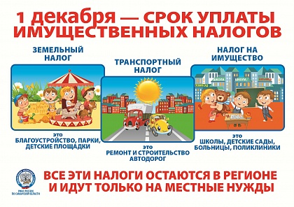 Срок уплаты имущественных налогов истёк