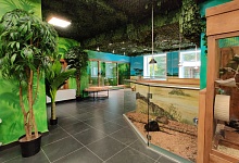 СТАНЦИЯ ЮНЫХ НАТУРАЛИСТОВ УХТЫ ГОТОВИТСЯ К ОТКРЫТИЮ